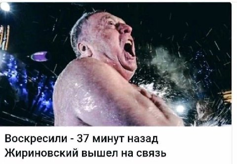 Воскресили 37 минут назад Жириновский вышел на связь