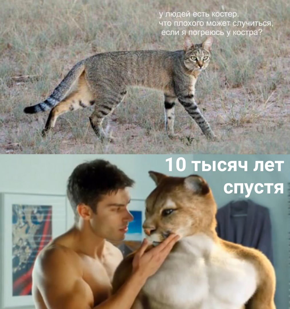 у людей есть костер. что плохого может случиться, если я погреюсь у костра? 10 тысяч лет спустя