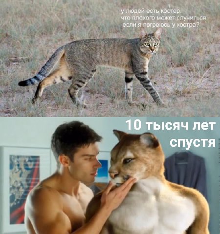 у людей есть костер. что плохого может случиться, если я погреюсь у костра? 10 тысяч лет спустя