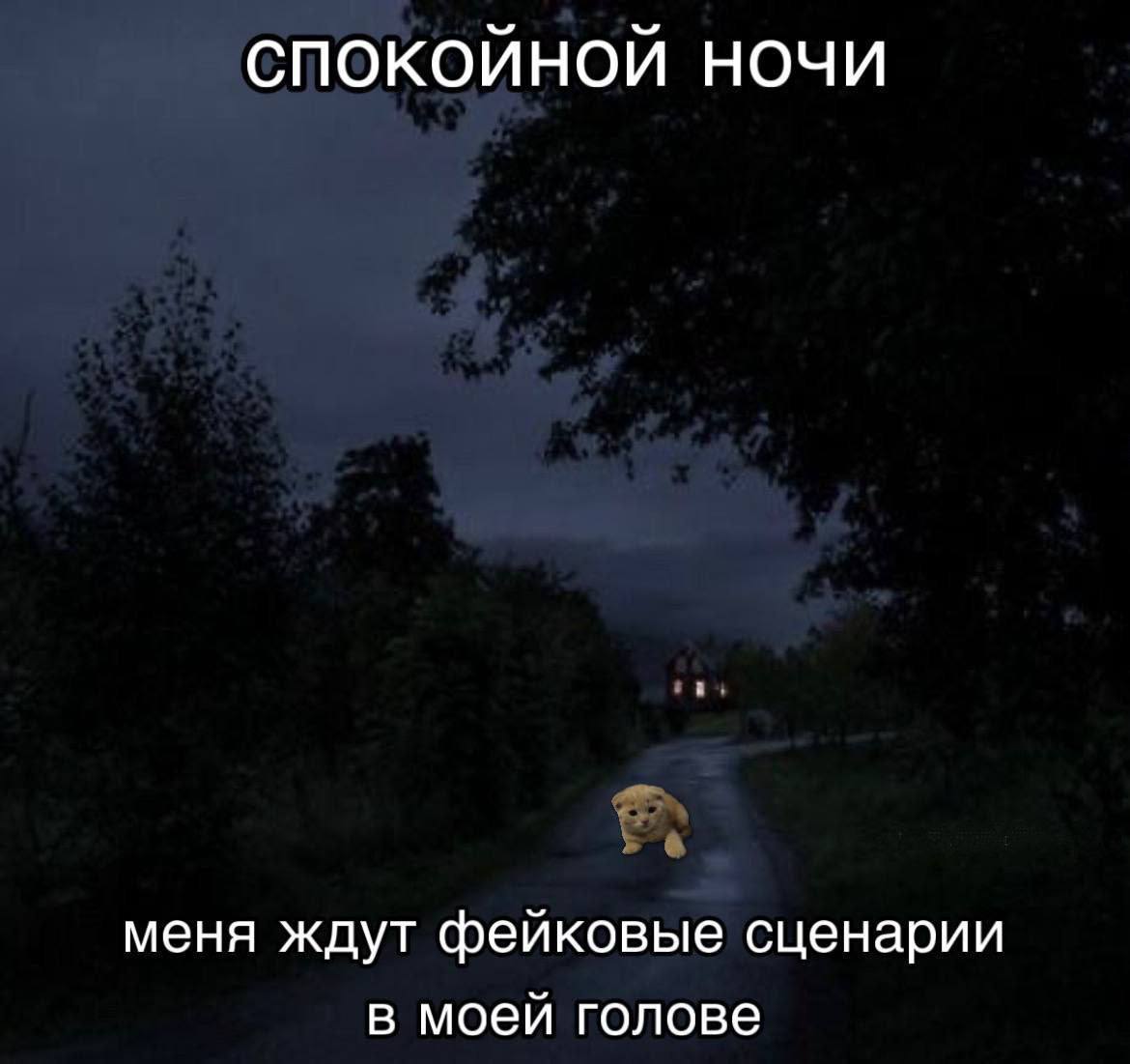 СПОКОЙНОЙ НОЧИ меня ждут фейковые сценарии в моей голове