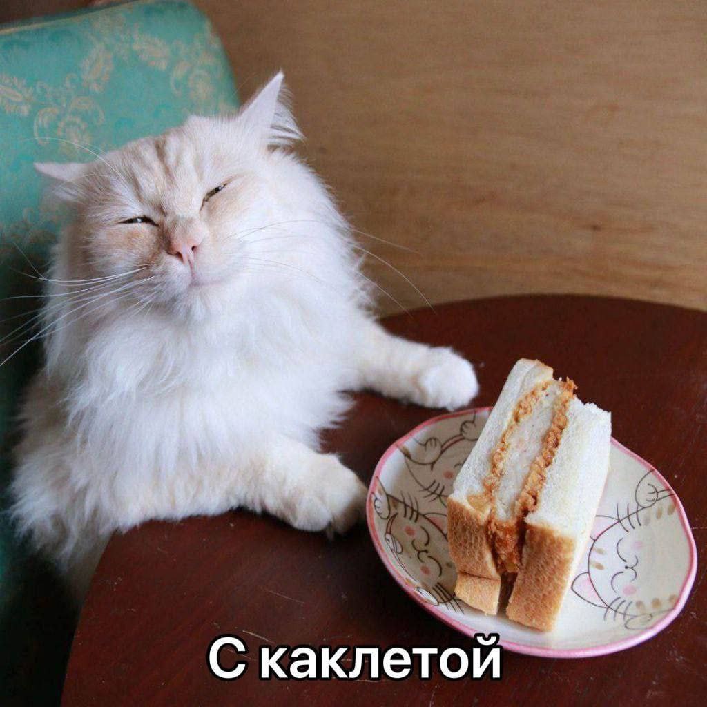 С каклетой