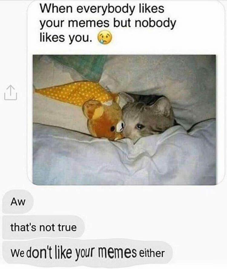 When everybody likes your memes but nobody likes that's not true like your Memes either