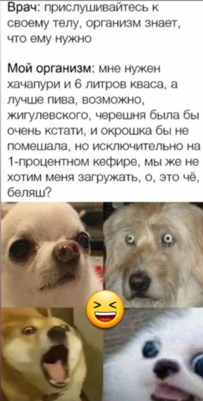 Врач: прислушивайтесь к своему телу, организм знает, что ему нужно Мой организм: мне нужен хачапури и 6 литров кваса, а лучше пива, возможно, жигулевского, черешня была бы очень кстати, и окрошка бы н