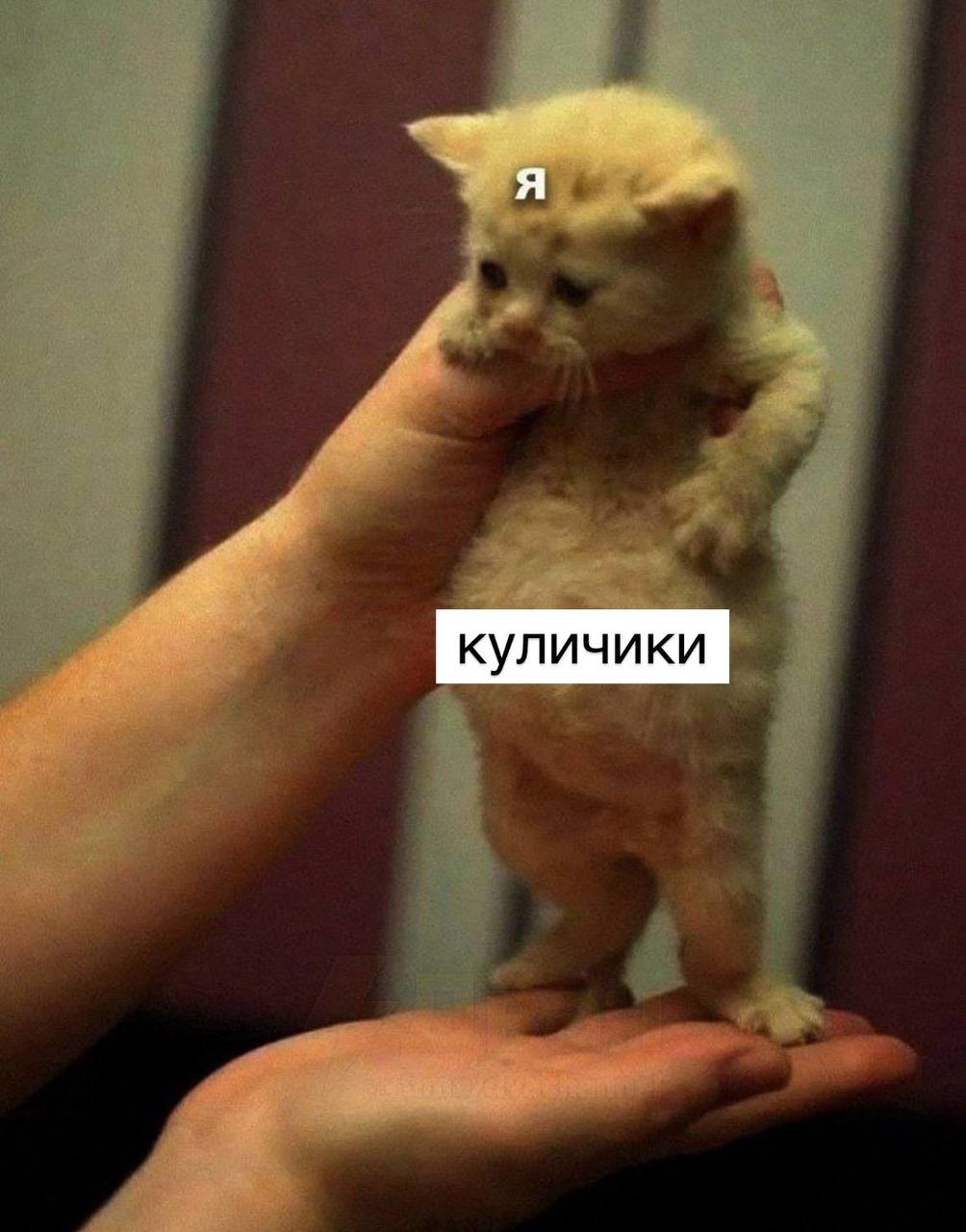 куличики а
