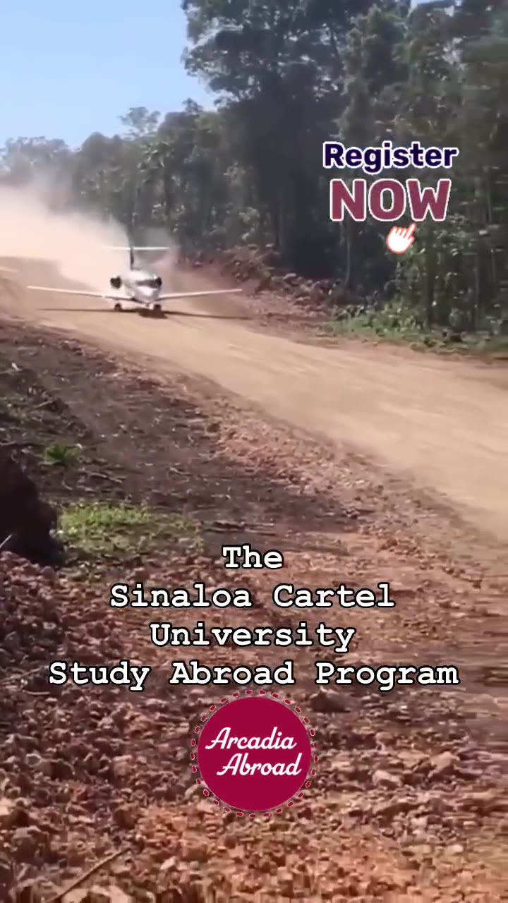 Sinaloa Cartel 0 Study Abroad. Program ™ ~ SSssUni'versity о Sunmaiioal Cartel _ Sinaloa Cages vA