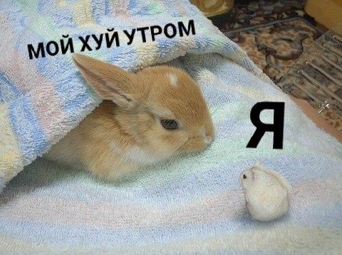 yTP on ХУИ AS Я