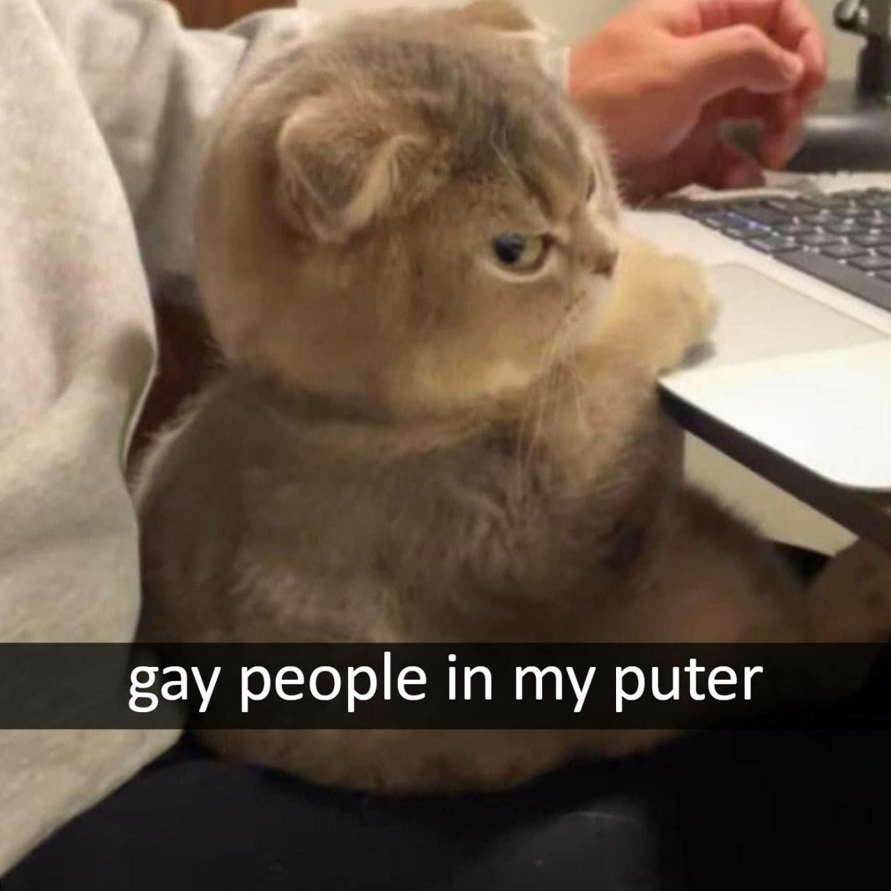 gay people my puter
