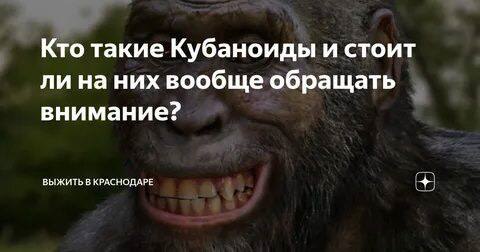 Кто такие Кубаноиды и стоит ли на них вообще обращать внимание? ВЫЖИТЬ В КРАСНОДАРЕ