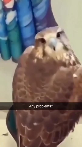 Any problem