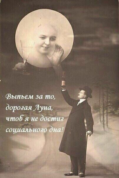 Выпъем за то, дорогая Луна, я не достиг социального дна! 38