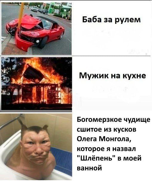 some рулем 7 жик на кухне 4 у Богомерзкое чудище сшитое из кусков Олега Монгола, 5 которое я назвал "Шлёпень" моей ванной