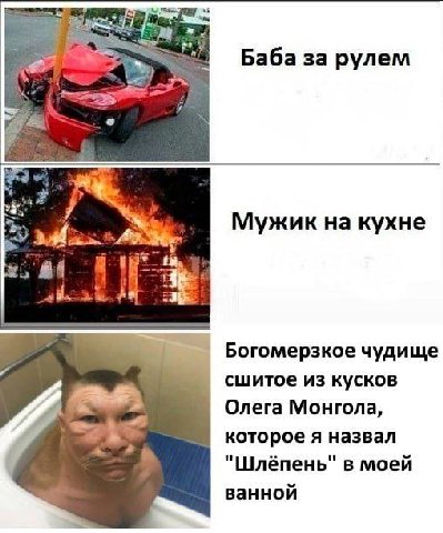 some рулем 7 жик на кухне 4 у Богомерзкое чудище сшитое из кусков Олега Монгола, 5 которое я назвал "Шлёпень" моей ванной