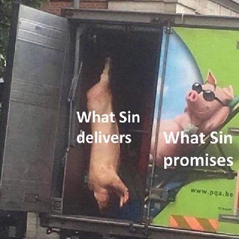 What Sin at Sin delivers