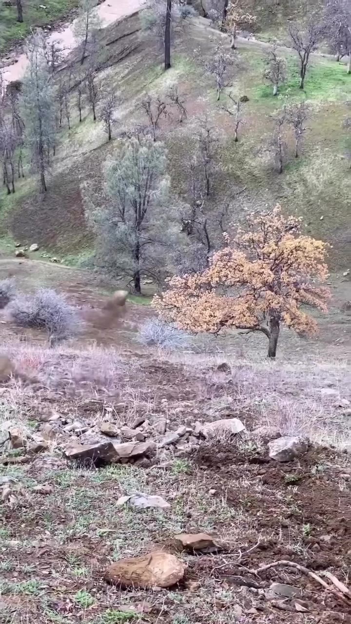 a we 2" у we у anf. (Aon 4 a 5 к we a В у А 6 1$: a у у