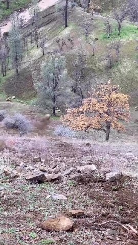 a we 2" у we у anf. (Aon 4 a 5 к we a В у А 6 1$: a у у