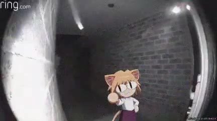 мем