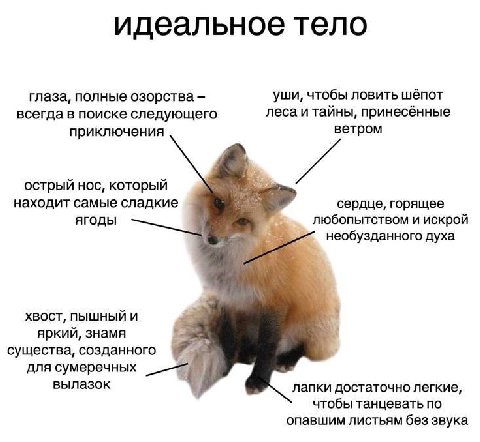 идеальное тело глаза, полные озорства уши, чтобы ловить шёпот леса и таины, принесенные всегда в поиске следующего приключения ветром острый нос, который находит самые сладкие сердце, горящее ягоды лю