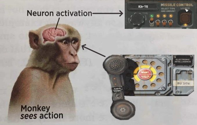 Neuron A с по В о 4 action
