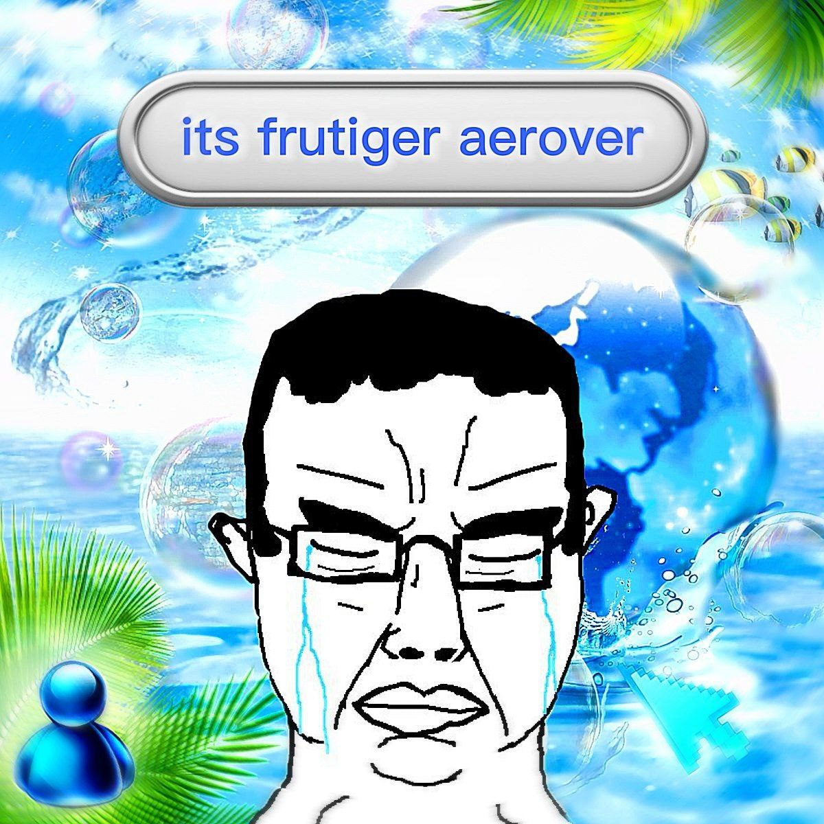 its frutiger aerover Wil