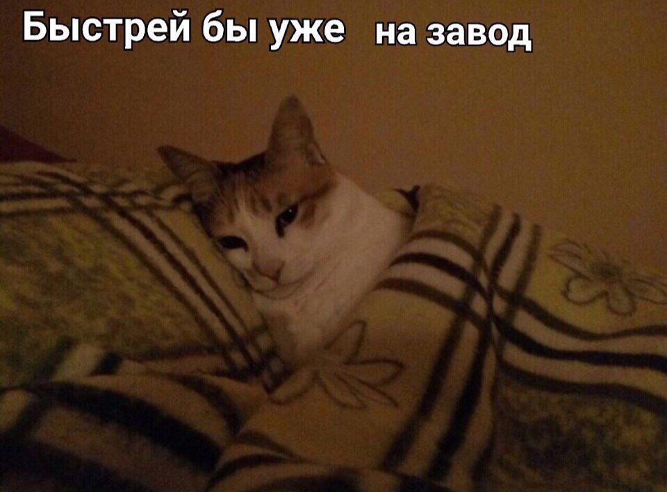 Быстрей бы уже на завод