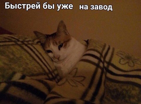 Быстрей бы уже на завод