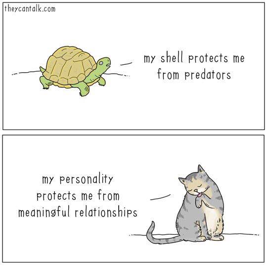 theycantalk.com my shell protects me from predators my personality protects me from meaningful relationships it