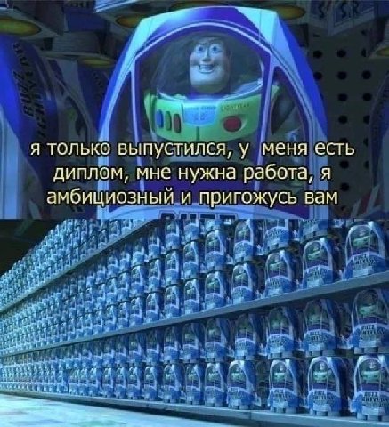 я только выпустился, у меня есть диплом, мне нужна работа, я амбициозный и пригожусь вам