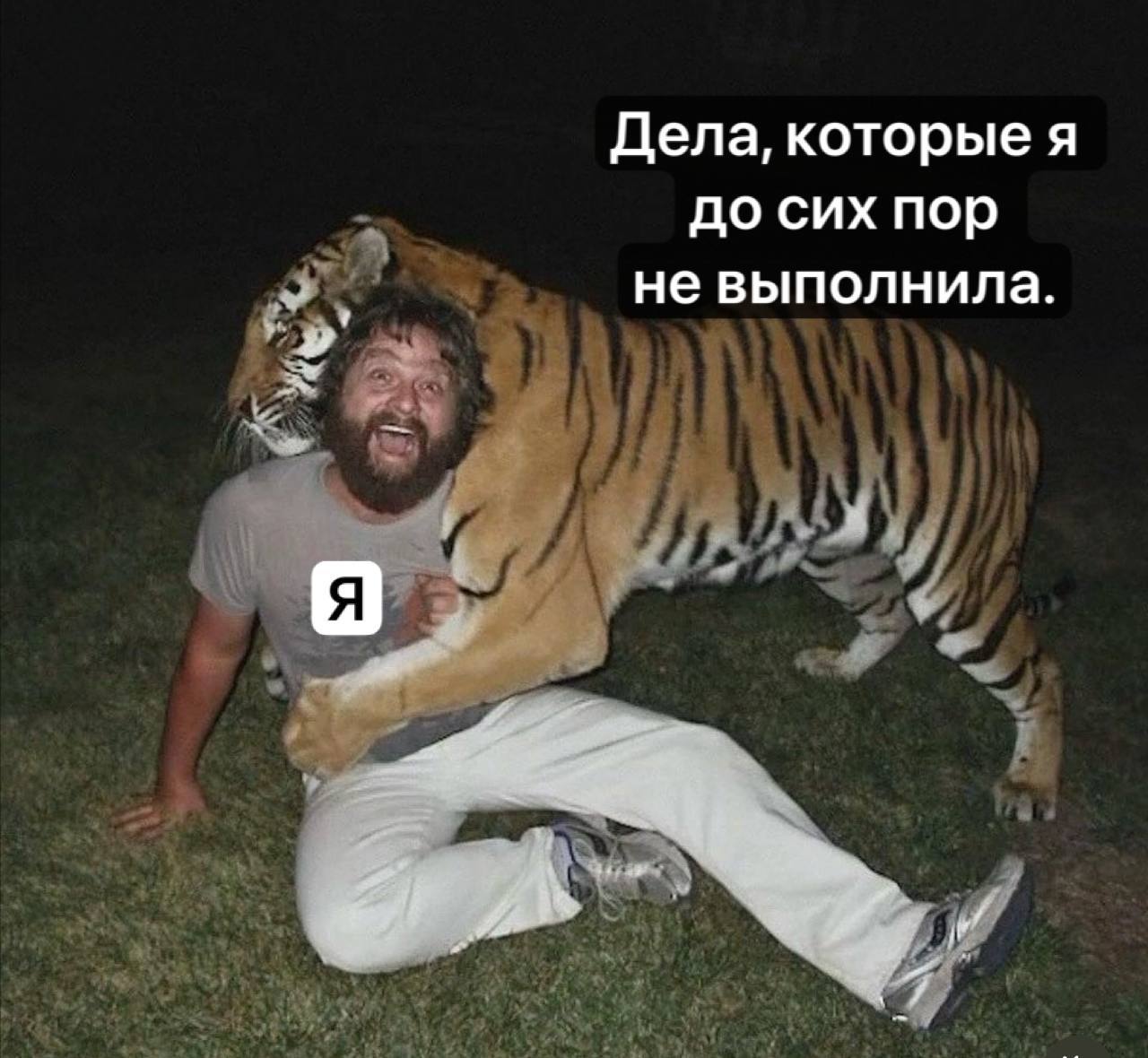 Дела, которые я до сих пор не выполнила.