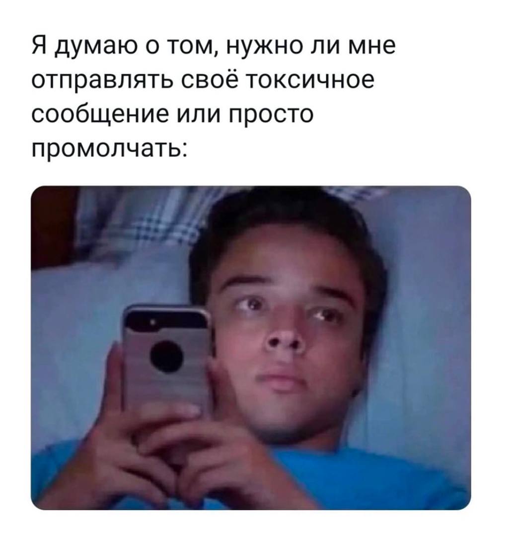 Я думаю о том, нужно ли мне отправлять своё токсичное сообщение или просто промолчать:
