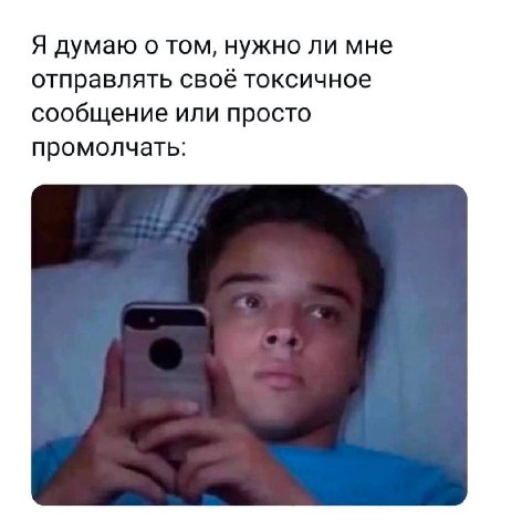 Я думаю о том, нужно ли мне отправлять своё токсичное сообщение или просто промолчать: