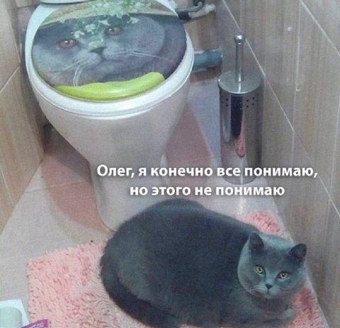 Олег, я конечно все понимаю, но этого не понимаю