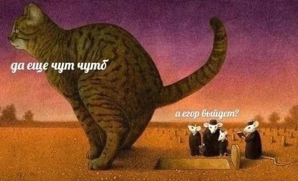 Салют любимым подписчикам