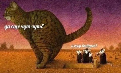 Салют любимым подписчикам