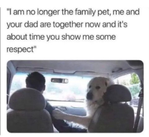 "Lam по longer the family pet, me and your dad are together now and it's about time you show me some respect"