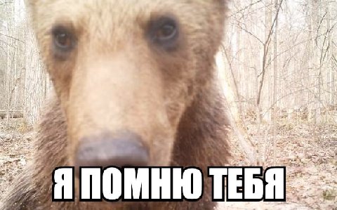 помню