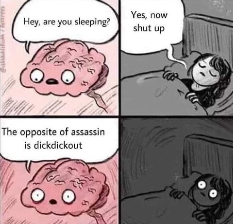 4 Yes, now are you sleeping? у у shut up 1 к The opposite of assassin is dickdickout я 4 о и typ