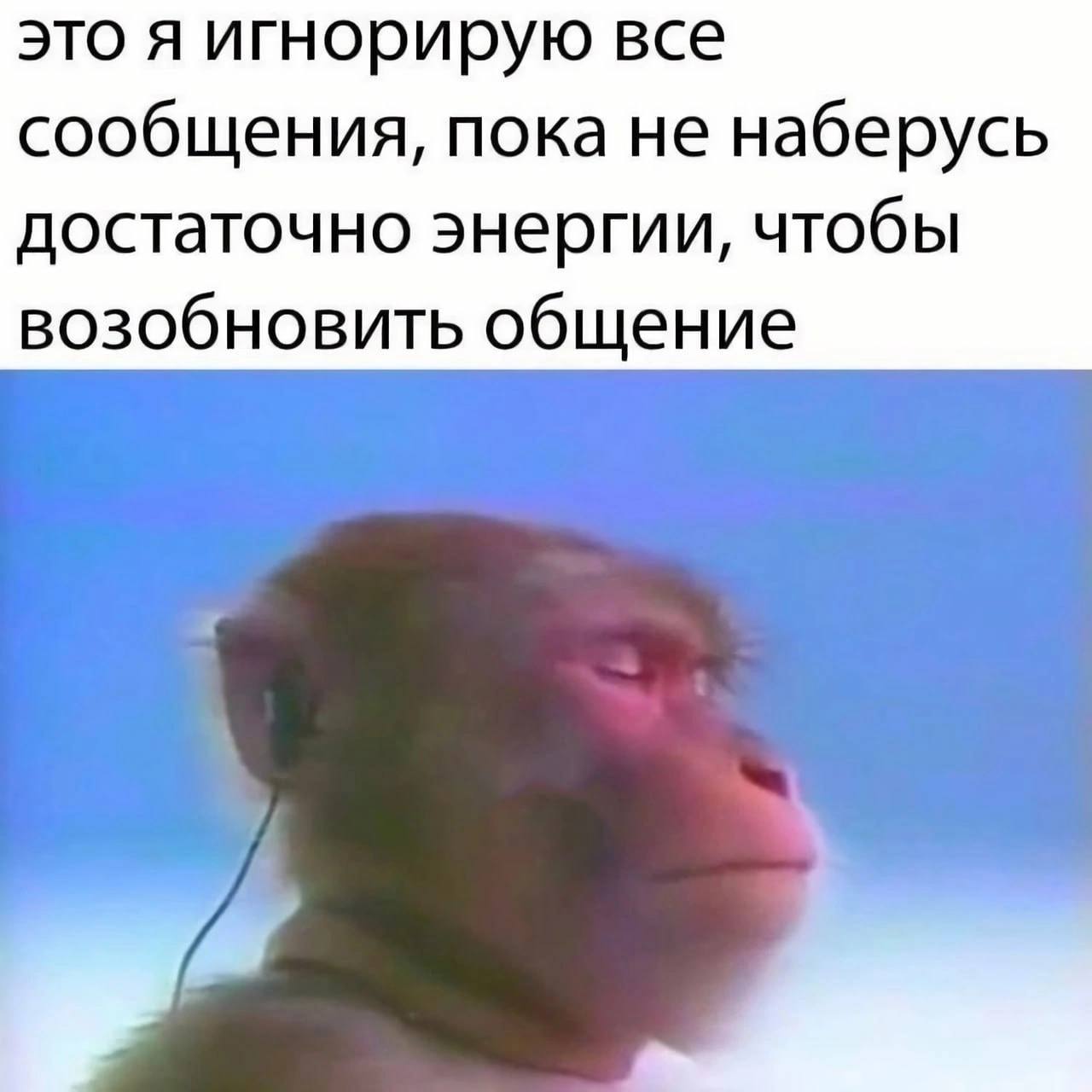 это я игнорирую все сообщения, пока не наберусь достаточно энергии, чтобы возобновить общение