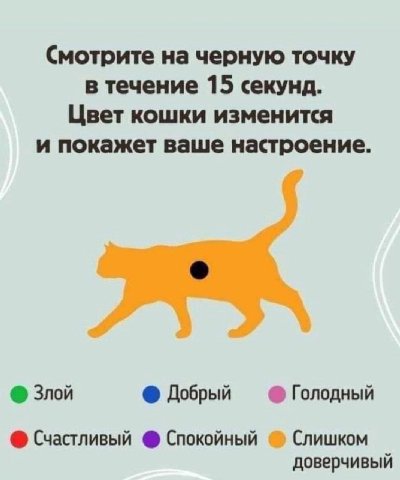 (Смотрите на черную точку в течение 15 секунд. Цвет кошки изменится и покажет ваше настроение. Злой Добрый Голодный Счастливый Спокойный Слишком доверчивый