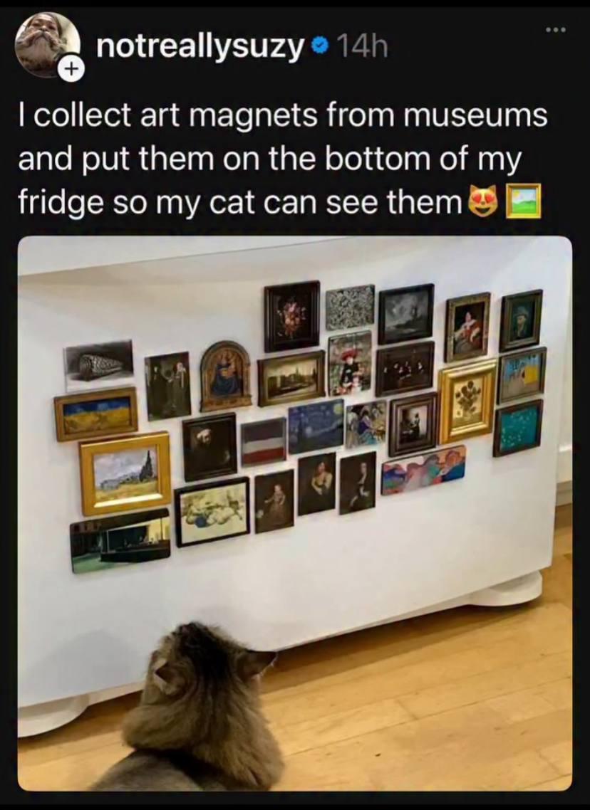 notreallysuzy collect art magnets from museums and put them on the bottom of my fridge so my cat can see them