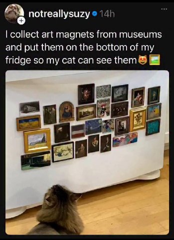 notreallysuzy collect art magnets from museums and put them on the bottom of my fridge so my cat can see them