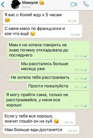 (9 Мамуля Я вас с Колей жду к 5 часам С меня мясо NO французски и кое что ещё Мам я не хотела говорить не знаю почему откладывала до последнего Мы расстались больше месяца уже Не хотела тебя расстраив