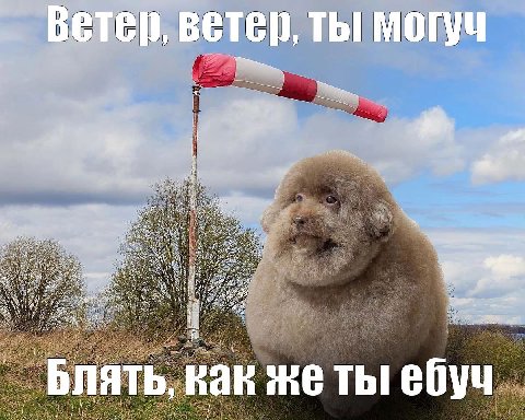 Ветер, ветер, ТЫ MOryu Блять, как же ты ебуч