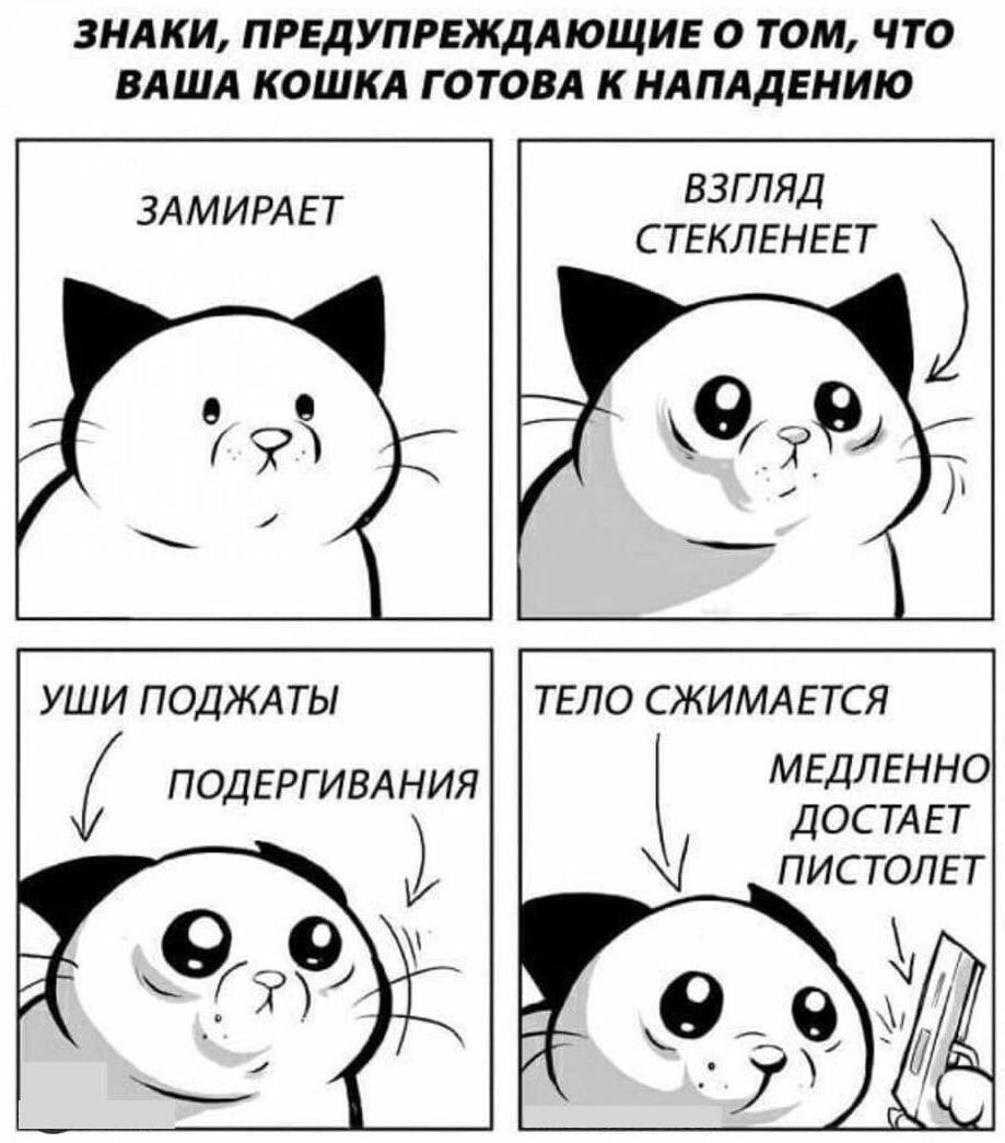 ЗНАКИ, ПРЕДУПРЕЖДАЮЩИЕ О ТОМ, ЧТО ВАША КОШКА ГОТОВА К НАПАДЕНИЮ ВЗГЛЯД СТЕКЛЕНЕЕТ и УШИ ПОДЖАТЫ ТЕЛО СЖИМАЕТСЯ ПОДЕРГИВАНИЯ МЕДЛЕННО ДОСТАЕТ А ПИСТОЛЕТ А у”