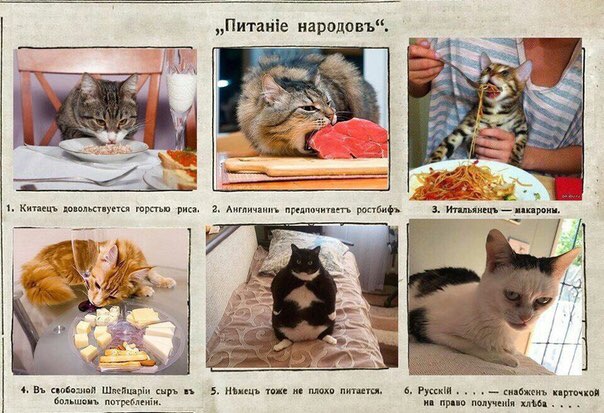 народовъ“. 1, Китаецъ довольствуется горстью ‘риса. 2. Англичаниъ предпочитаеть ростбиф» 3. макароны. 4, свободной Wrefuapin сыръ 5. Ньмець тоже не плохо питается, 6, снабженъ карточкой большомъ 2—- н