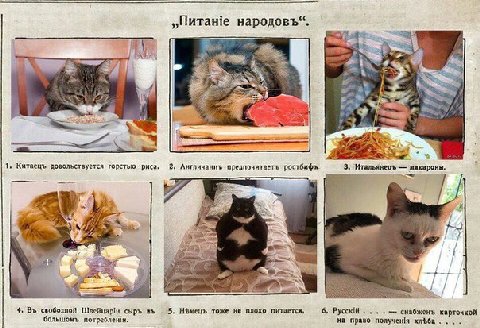 народовъ“. 1, Китаецъ довольствуется горстью ‘риса. 2. Англичаниъ предпочитаеть ростбиф» 3. макароны. 4, свободной Wrefuapin сыръ 5. Ньмець тоже не плохо питается, 6, снабженъ карточкой большомъ 2—- н