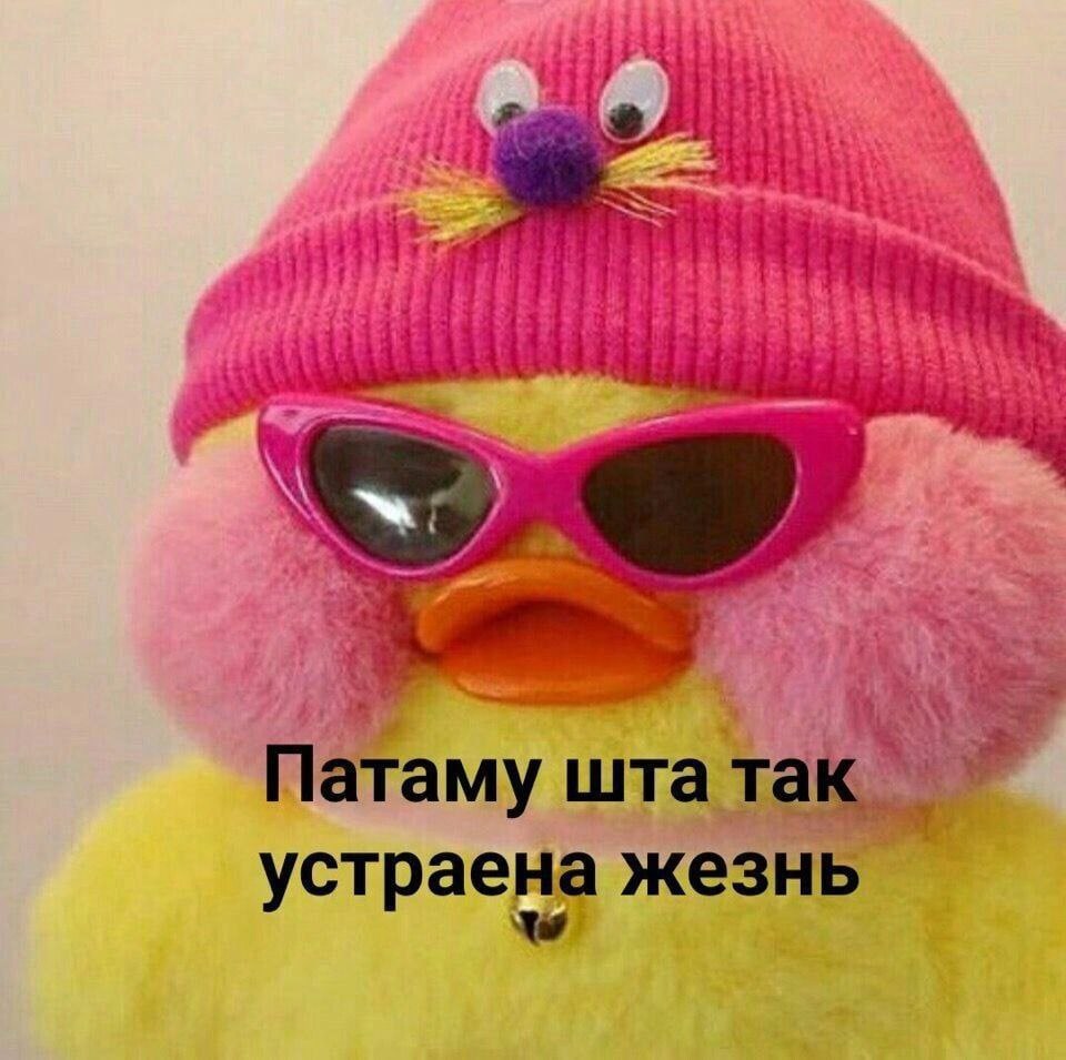 4 we №3 Патаму штат устраена жезнь