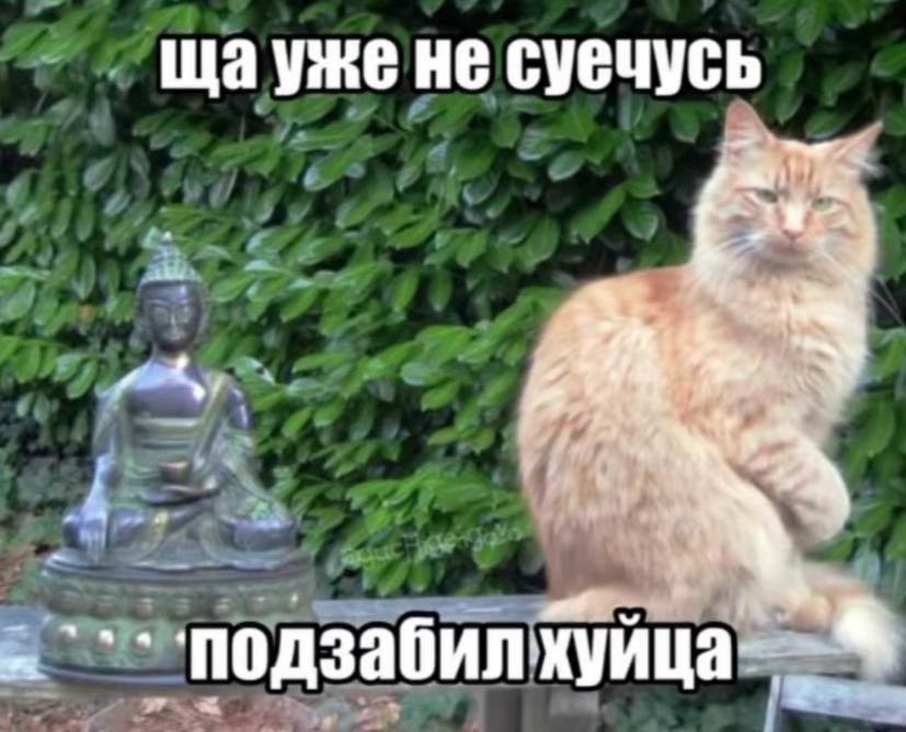 yike не суечусь у подзабилхуица