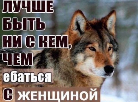 A ебаться В ЖЕНЩИНОЙ
