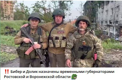 Бибер и Долик назначены временными губернаторами Ростовской и Воронежской области