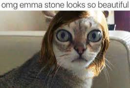 omg emma stone looks so beautiful